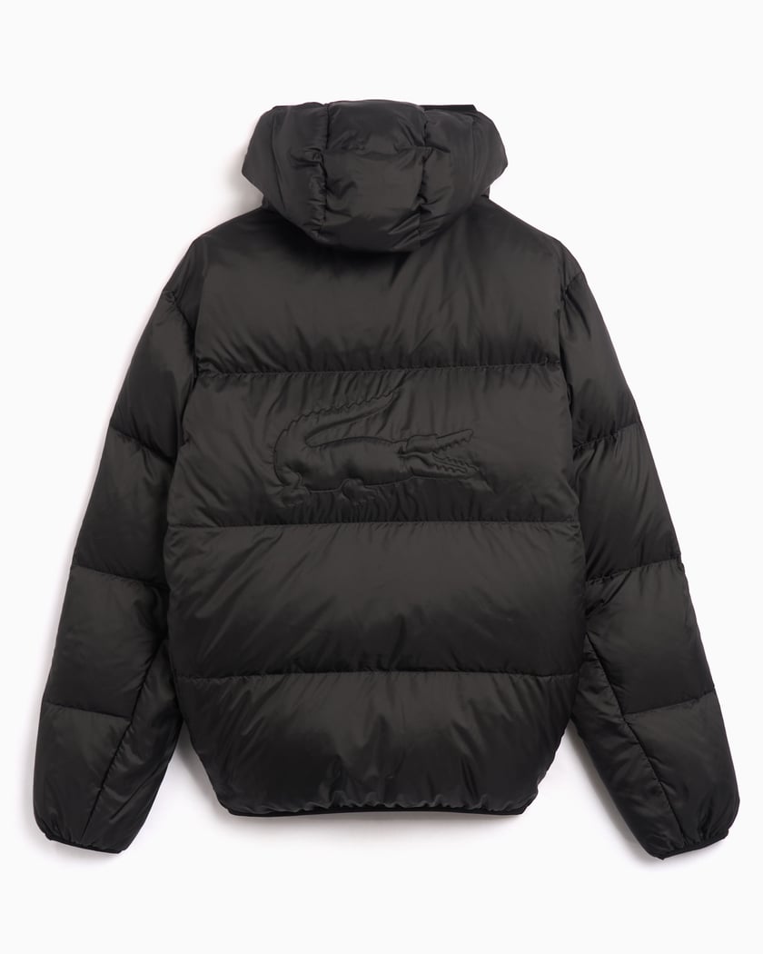 Short Water Repellent Hooded Puffed Jacket - kleostreetwear