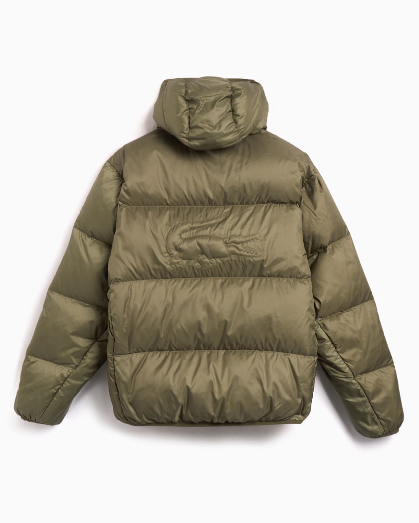 Short Water Repellent Hooded Puffed Jacket - kleostreetwear