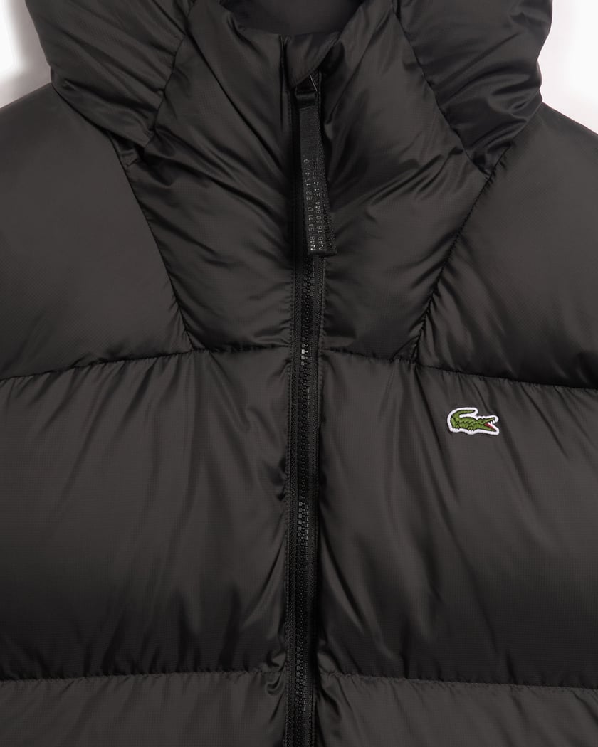 Short Water Repellent Hooded Puffed Jacket - kleostreetwear