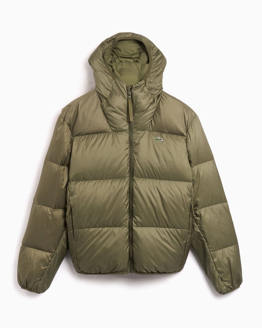 Short Water Repellent Hooded Puffed Jacket - kleostreetwear